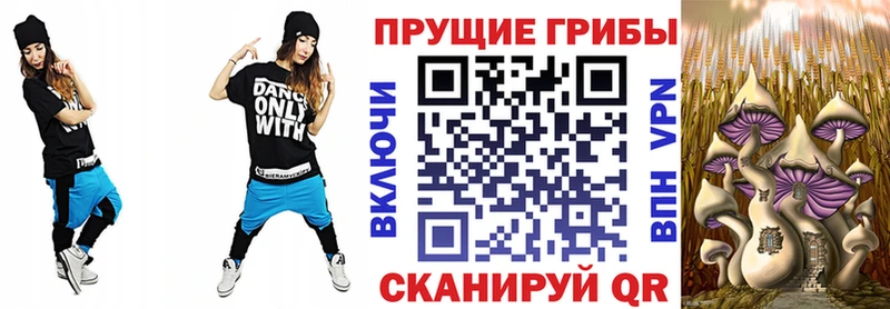 ссылка на мегу ссылки  Вытегра  Псилоцибиновые грибы Psilocybine cubensis  купить наркотик 